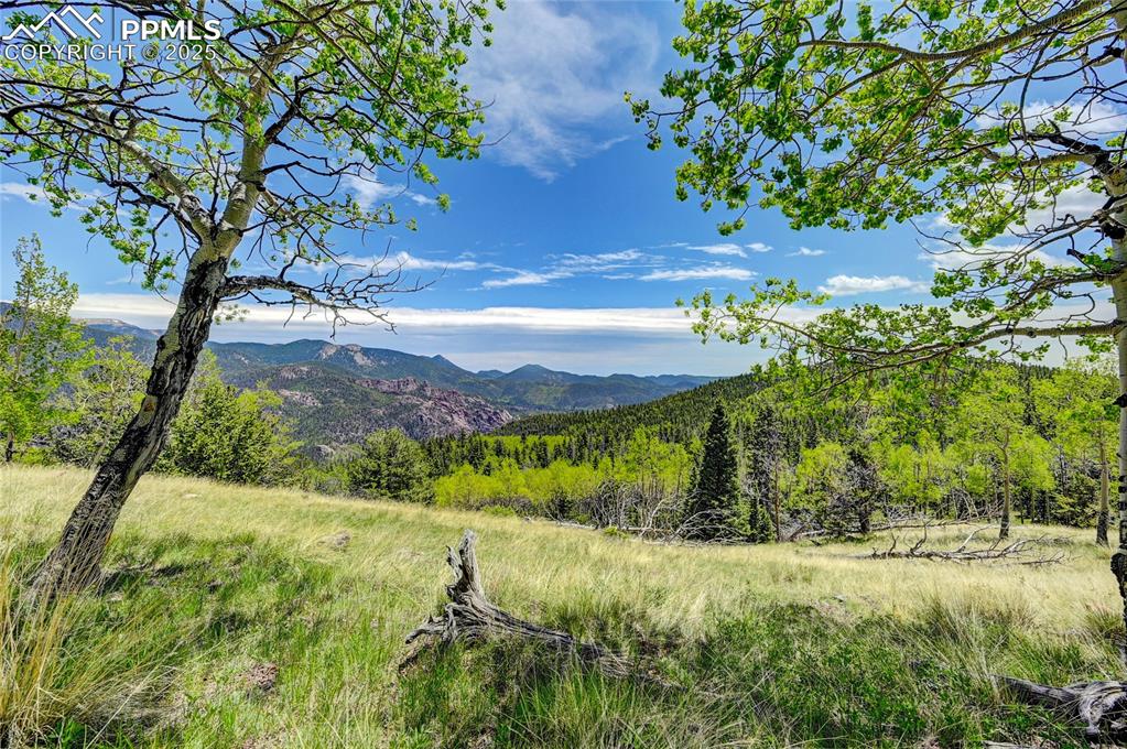 Image 6 of 50: Property view of mountains with a forest view