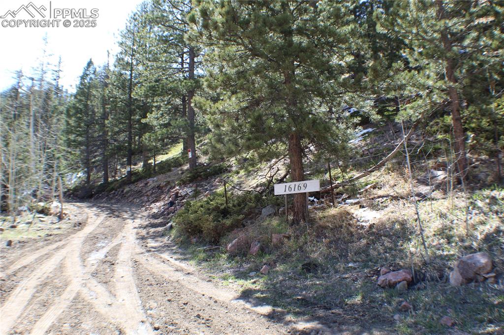 Image 29 of 36: Entrance of Driveway
