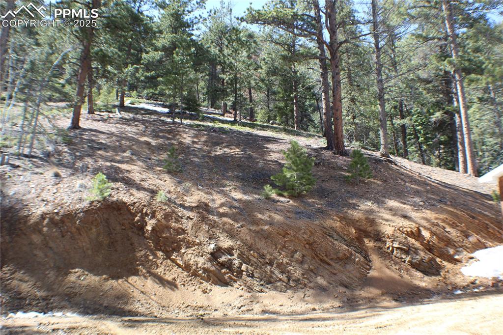 Image 31 of 36: View from Property