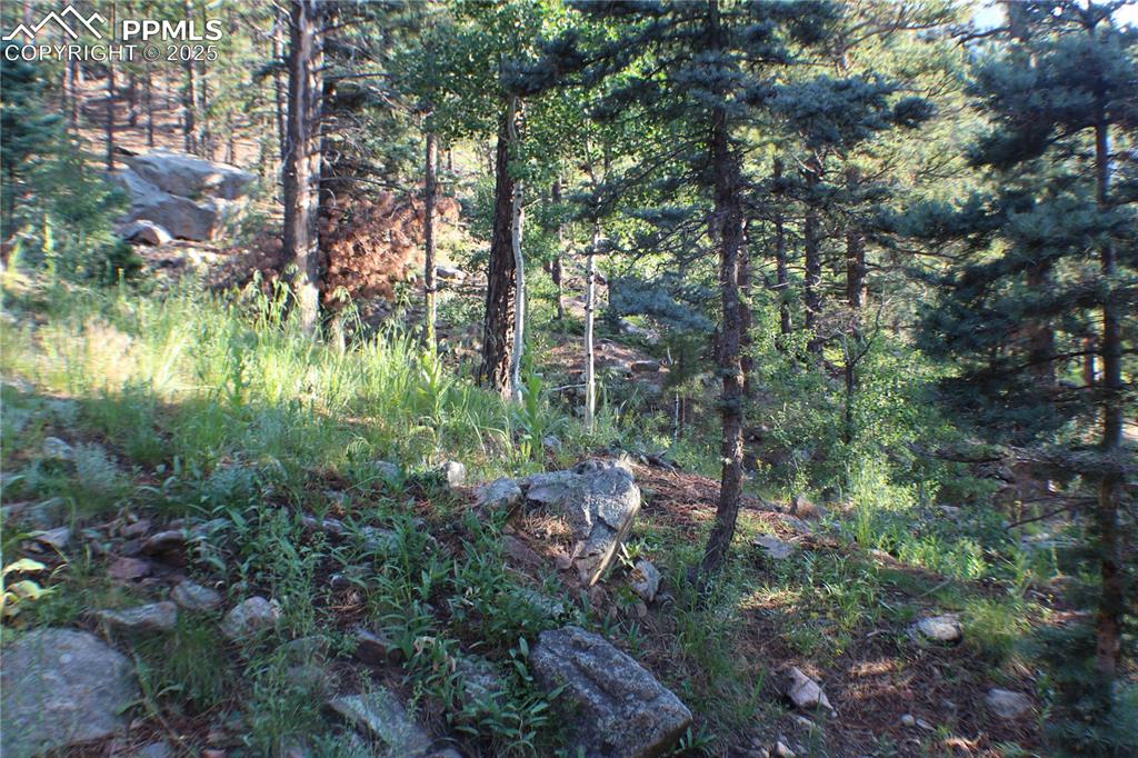 Image 33 of 36: View from Property