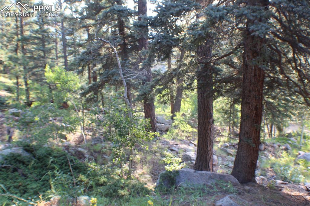 Image 35 of 36: View from Property