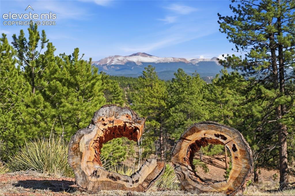 Image 3 of 49: Character aspect for the property, great view of Pikes Peak