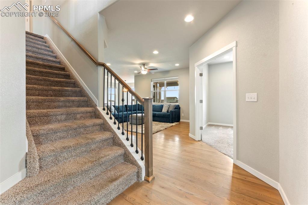 Image 4 of 47: Other