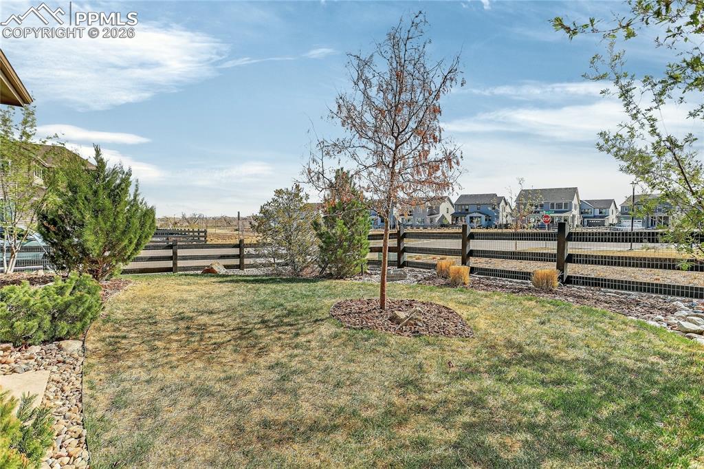 Image 44 of 47: Yard