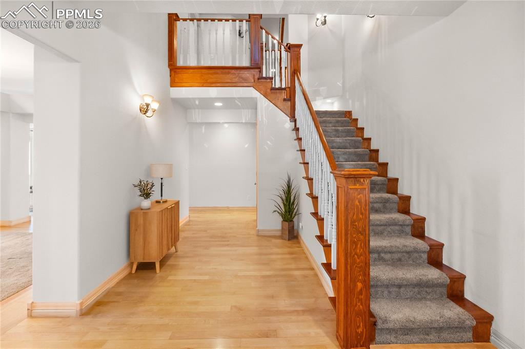 Image 8 of 50: Other