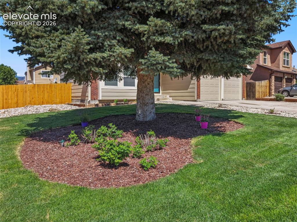 Image 31 of 35: Front Yard with New Landscaping
