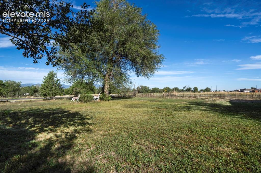 Image 3 of 45: Expansive outdoor area with a mature shade tree, natural landscaping, and a