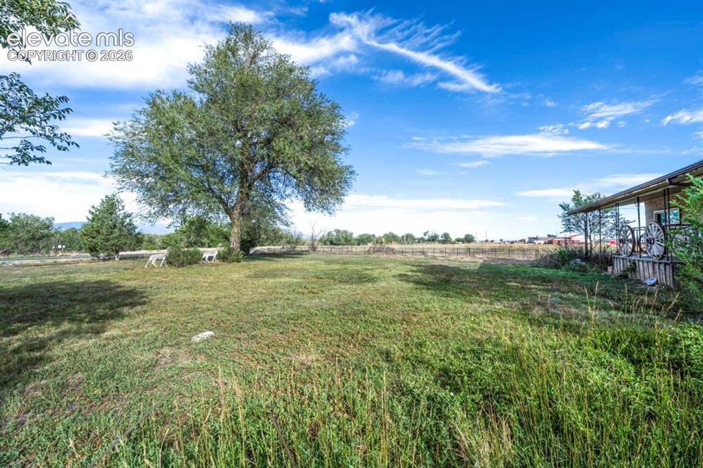 Image 4 of 45: Expansive green space featuring a mature tree, natural grasses, and a cover