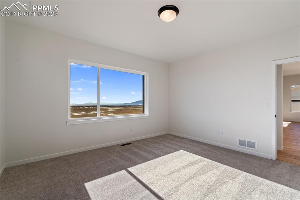 Image 21 of 50: Other