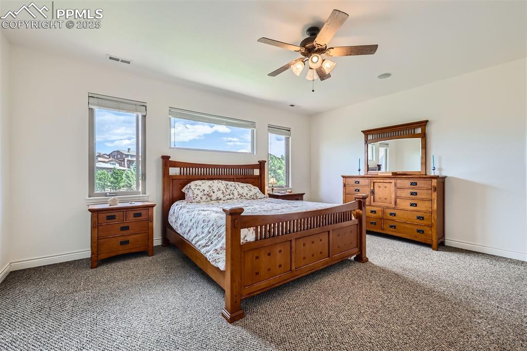 Image 13 of 28: Master bedroom featuring multiple windows, light carpet, and ceiling fan