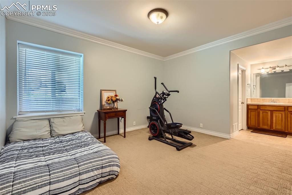 Image 22 of 28: Bedroom featuring ornamental molding, light colored carpet, and connected b