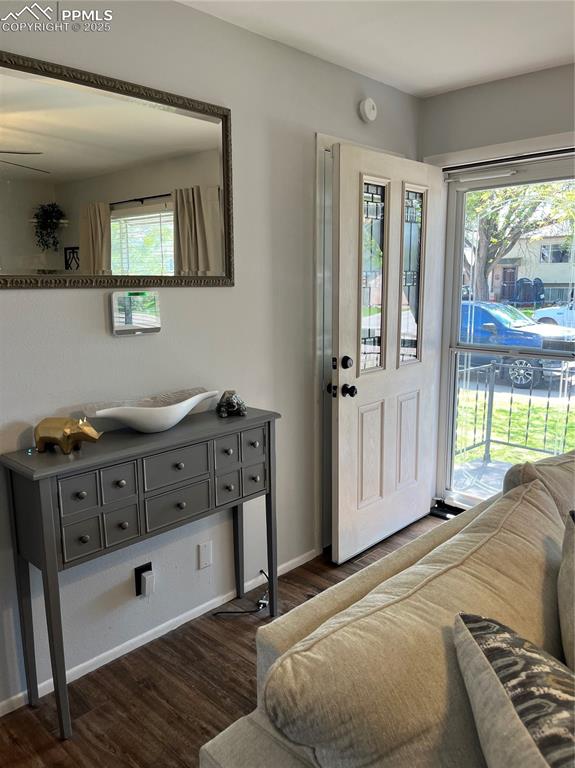 Image 4 of 29: Foyer entrance with dark wood-type flooring, plenty of natural light, and b