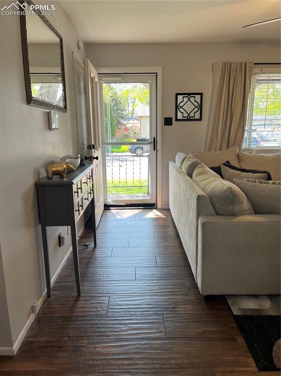 Image 5 of 29: Doorway to outside featuring healthy amount of natural light, dark wood-sty