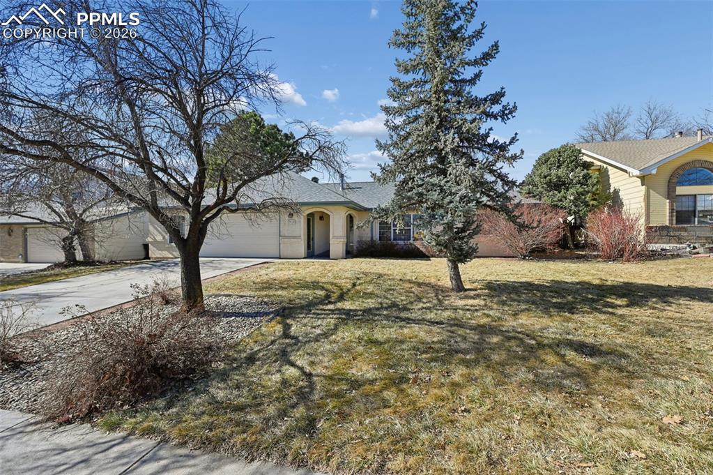 Image 2 of 42: Mature landscaping