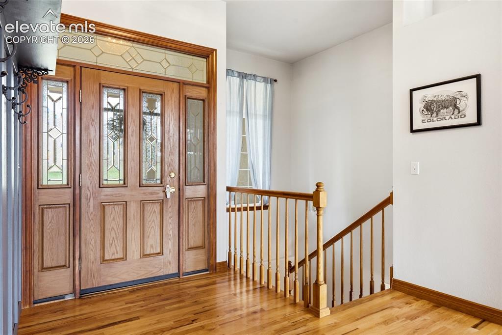 Image 9 of 47: A Bried Guide to Mold, Moisture, and Your Home