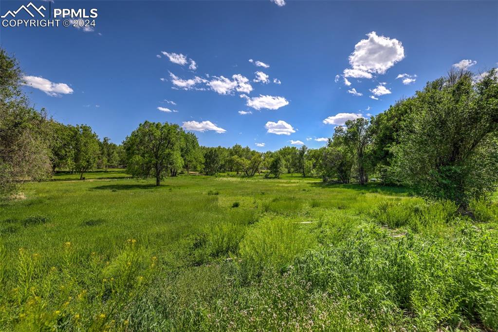 Image 5 of 5: View of nature