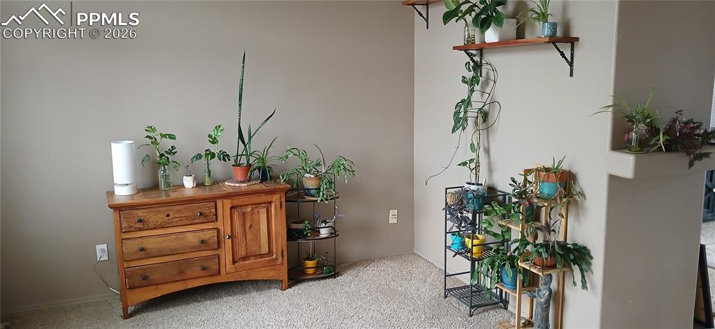 Image 4 of 23: Other