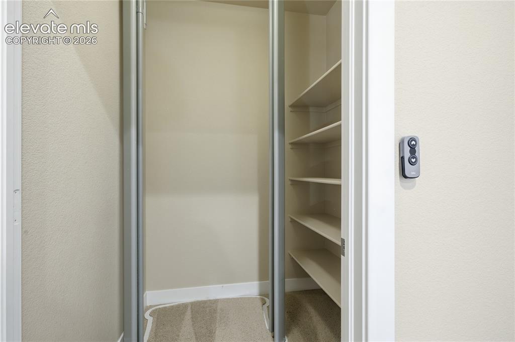 Image 20 of 28: Walk-in closet with carpet flooring, built-in shelving, and metal hanging r