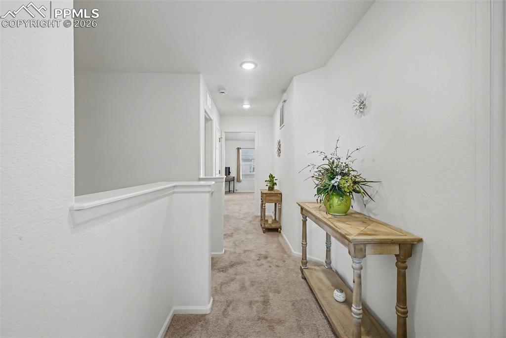 Image 14 of 34: No Description Available