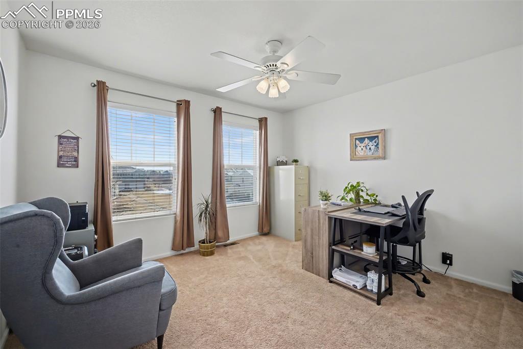 Image 20 of 34: No Description Available