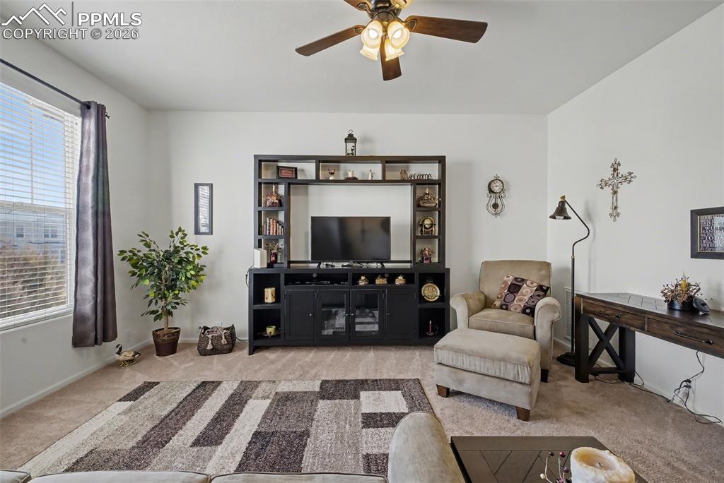 Image 3 of 34: No Description Available