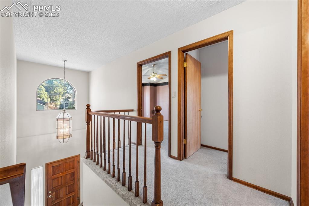 Image 22 of 50: Other