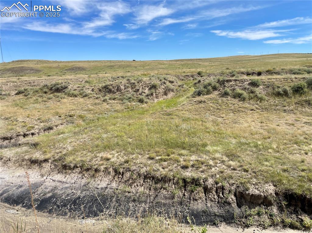 Image 10 of 14: Other