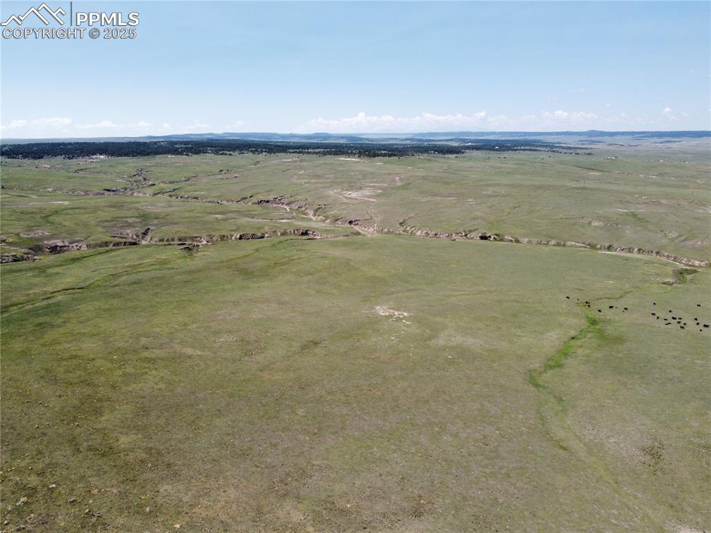 Image 12 of 14: Aerial View