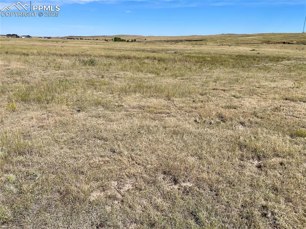 Image 2 of 14: Other