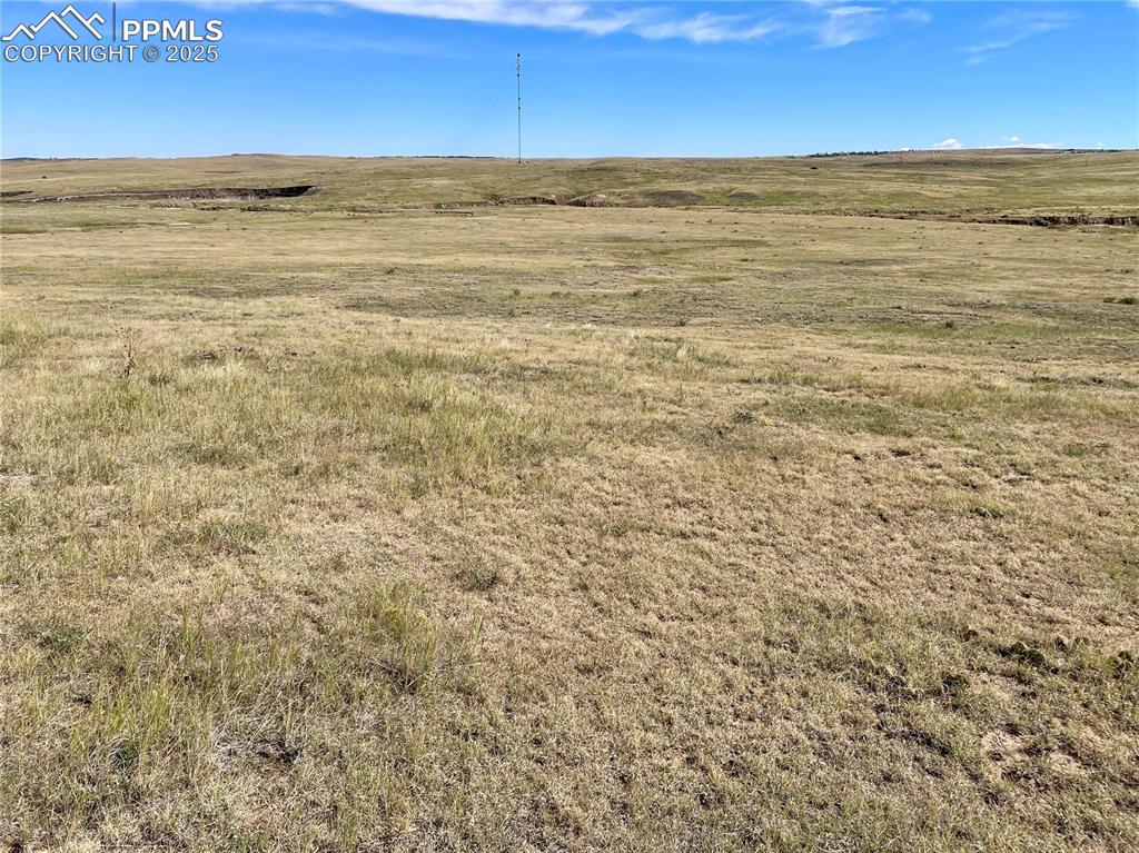 Image 3 of 14: Other