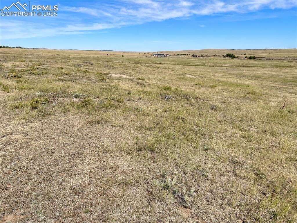 Image 7 of 14: Aerial View