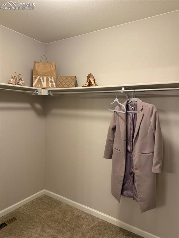 Image 20 of 41: Spacious closet with carpet floors
