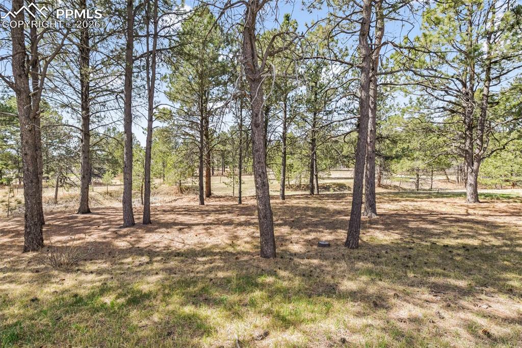 Image 29 of 50: Yard