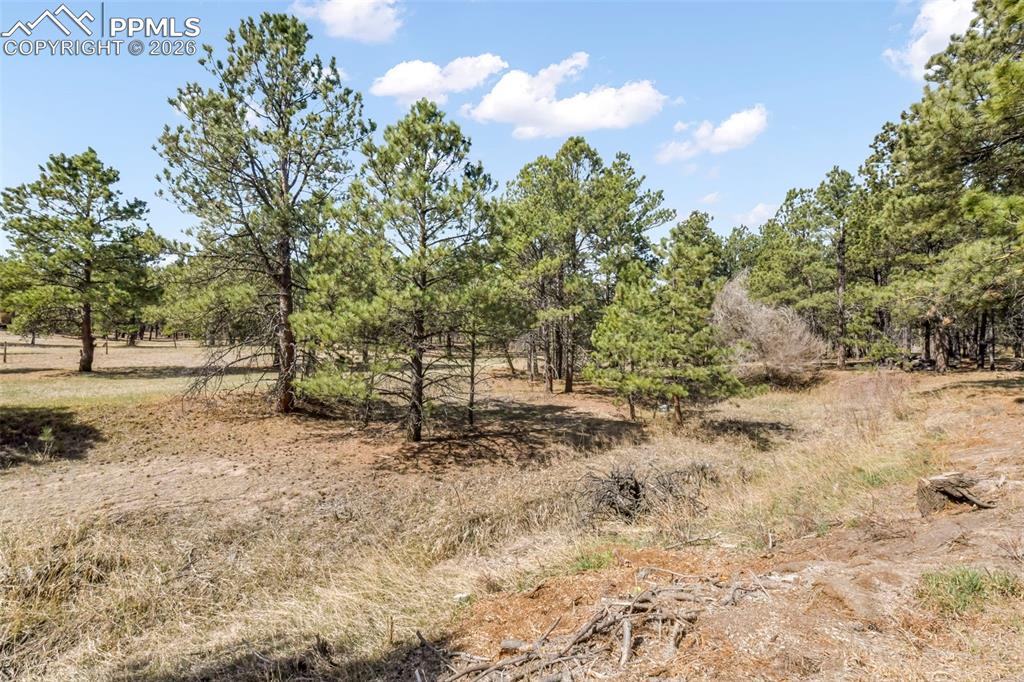 Image 35 of 50: Other