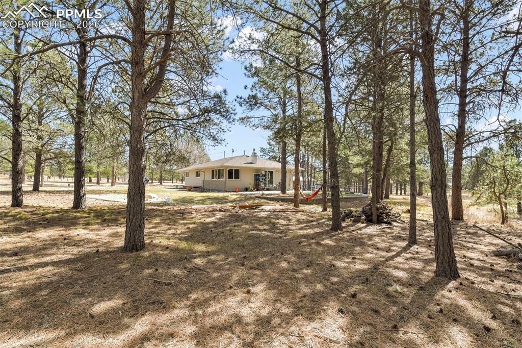 Image 37 of 50: Yard