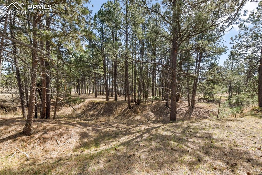 Image 39 of 50: Other