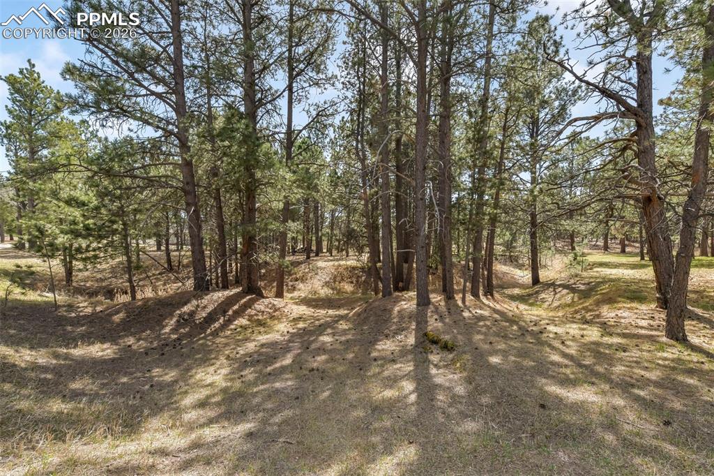 Image 40 of 50: Other