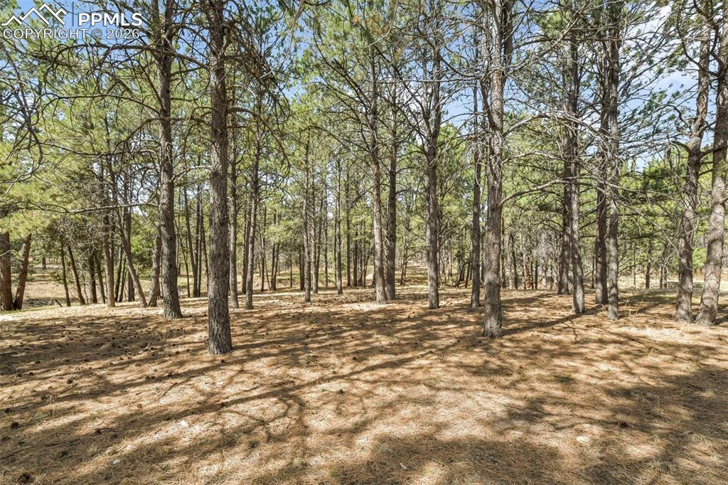 Image 41 of 50: Other