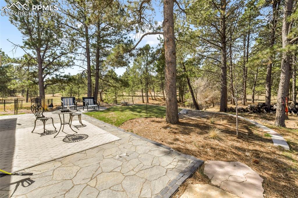 Image 42 of 50: Patio