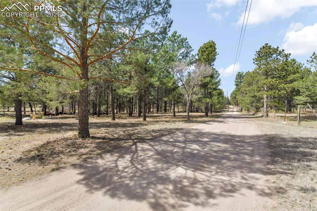 Image 43 of 50: Community