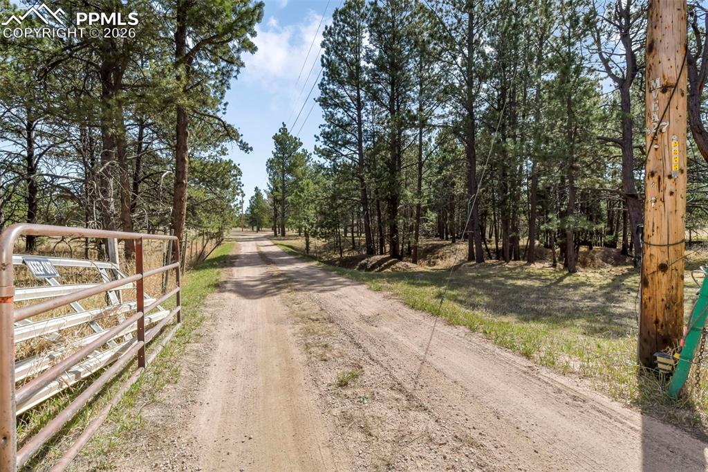 Image 44 of 50: Community