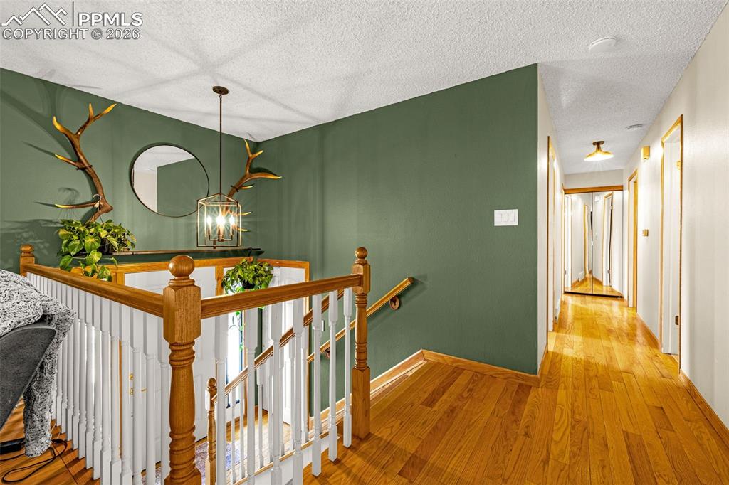 Image 6 of 42: Other