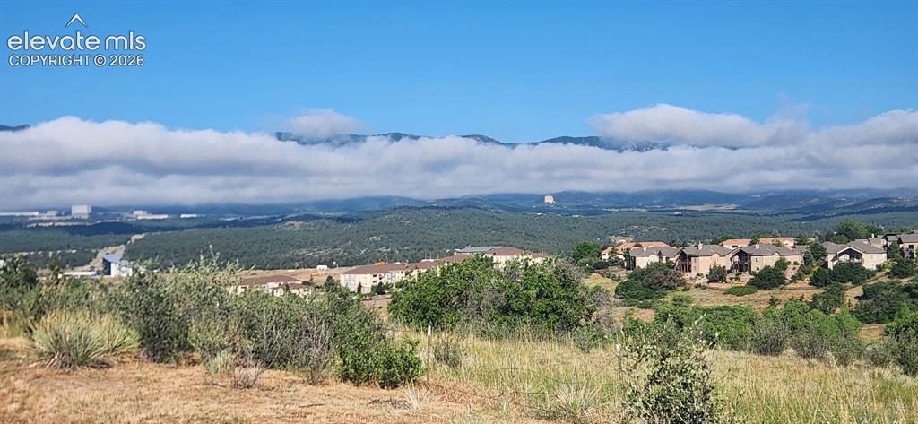 Image 49 of 49: View