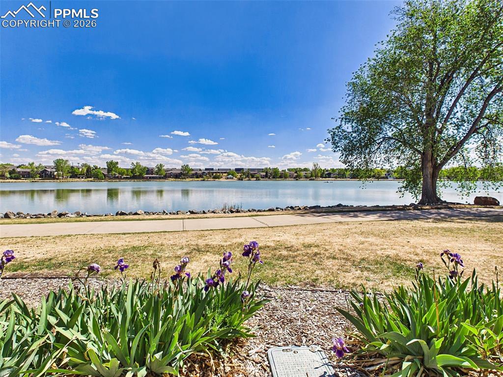 Image 47 of 50: Lakefront Path – Paved walking path along the water with open views and mat