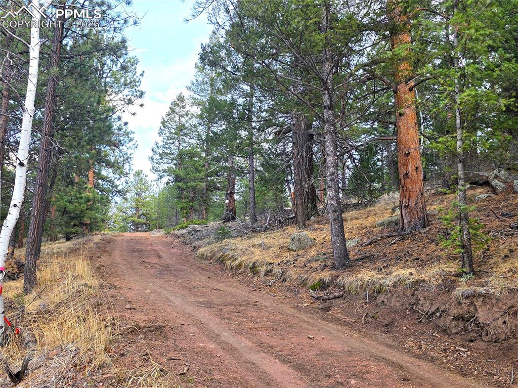 Image 10 of 28: North side Driveway