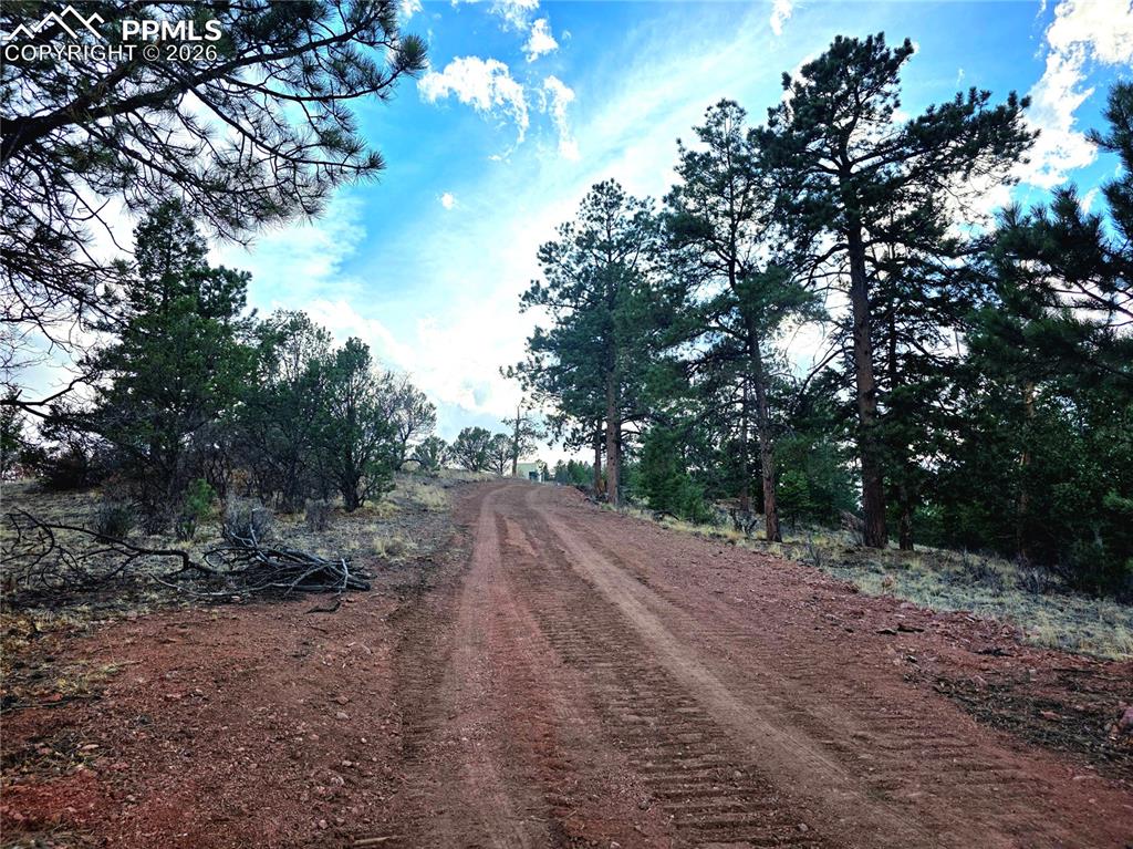 Image 11 of 28: East driveway