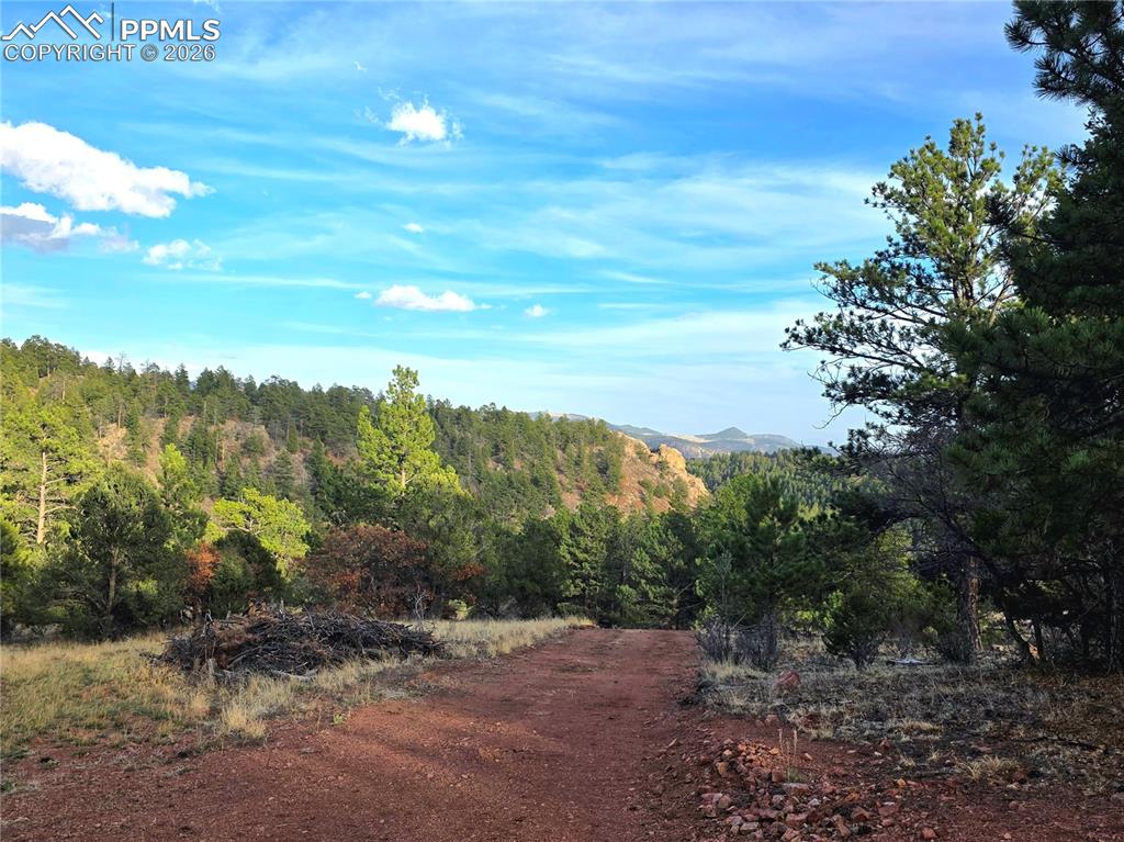 Image 14 of 28: East Deivway