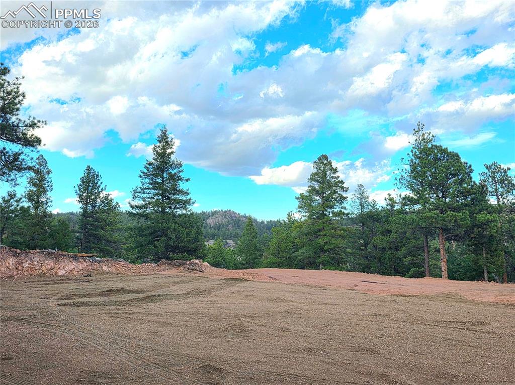 Image 16 of 28: Lot
