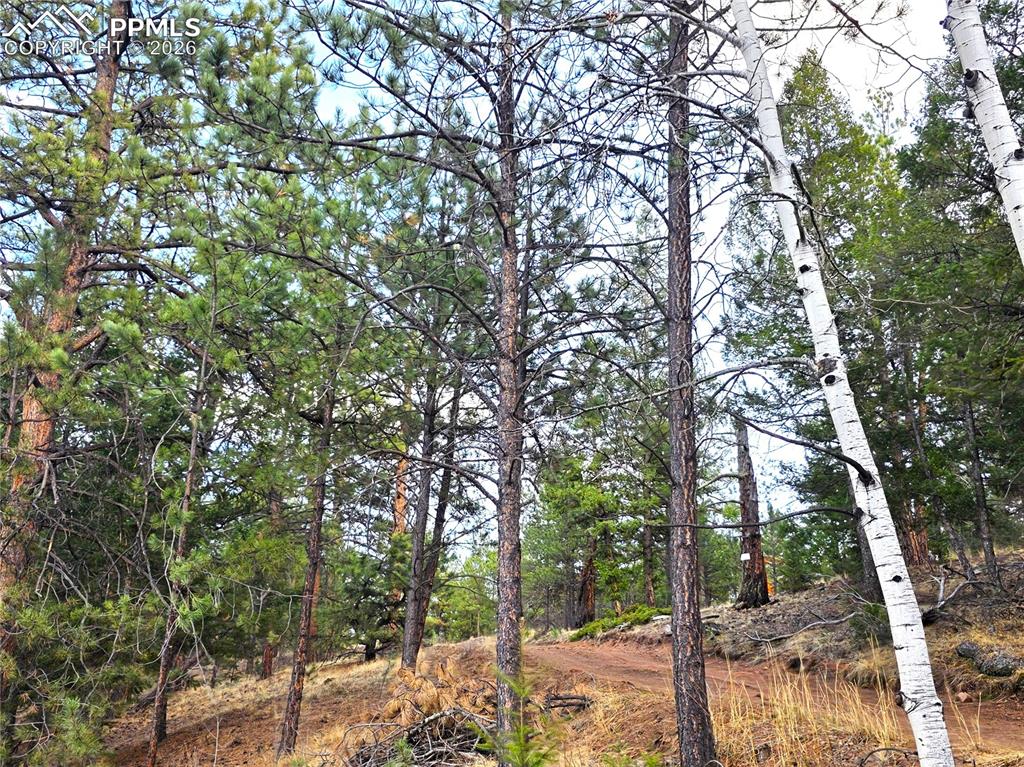 Image 18 of 28: road along property