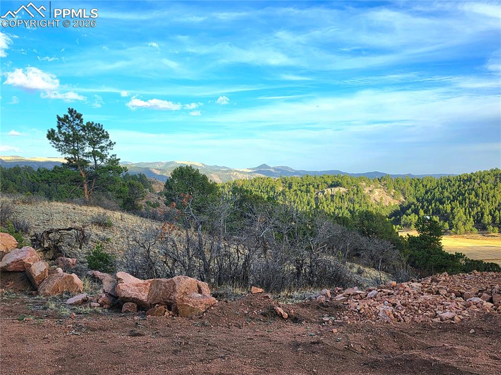 Image 2 of 28: View